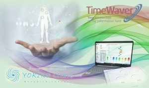 TimeWaver YORIKO Clinic Panipani Oneness