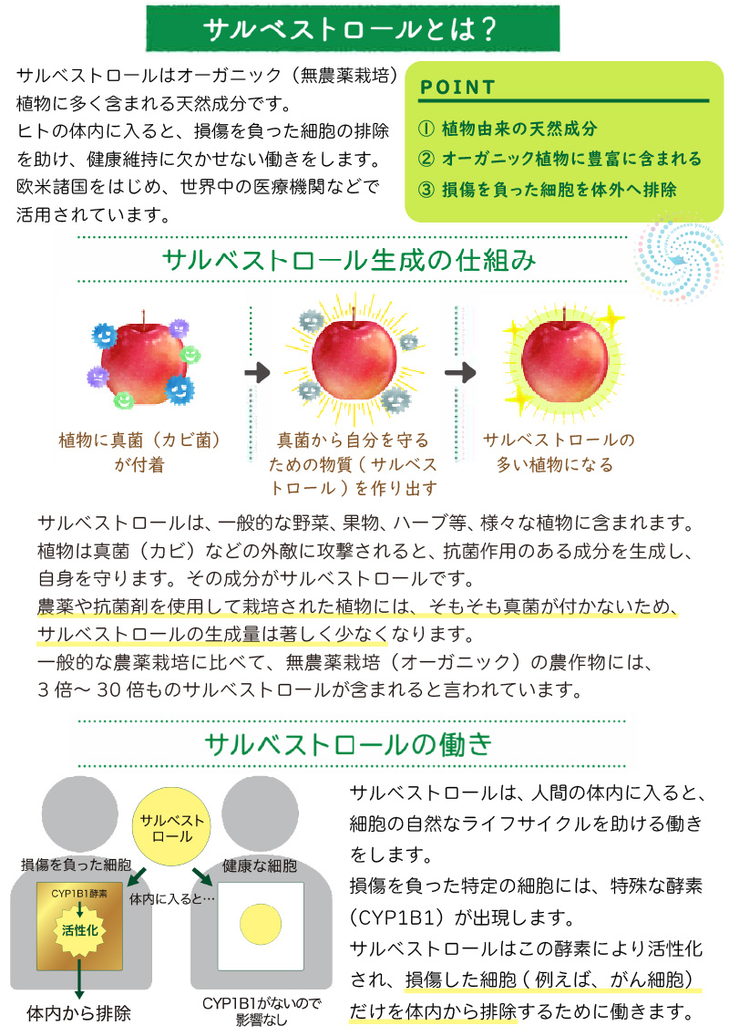 サルベストロールとは 仕組みと働き（よりこクリニック）